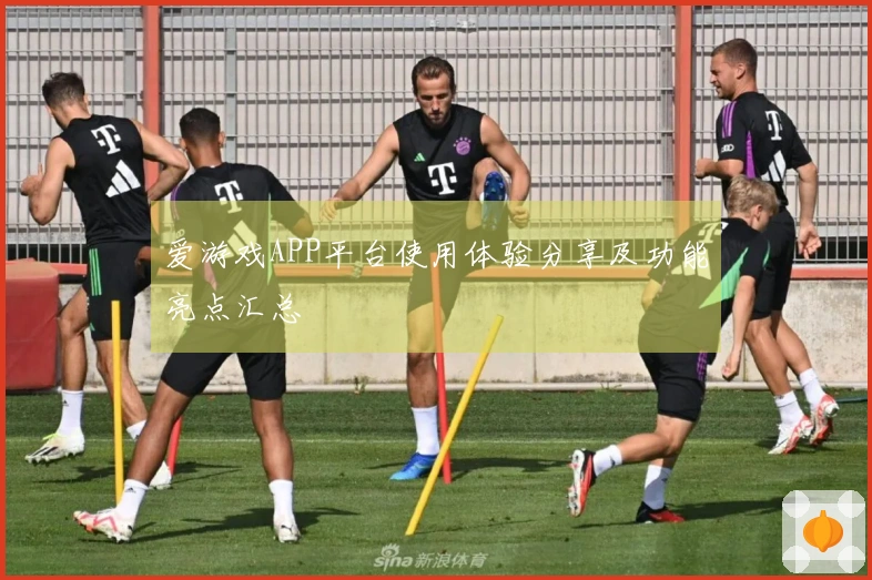 爱游戏APP平台使用体验分享及功能亮点汇总
